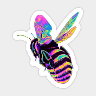 Pink and Blue Holo Bumble Bee Sticker